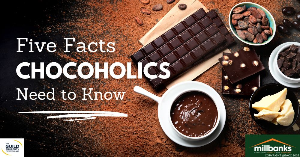 The Truth about Eating Chocolate (and It’s Not All Bad)