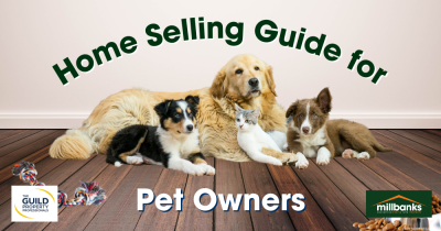 How to Sell Your Attleborough Home When You’ve Got Pets