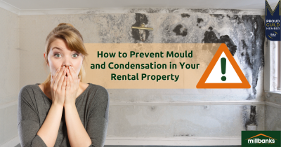 How to Prevent Mould and Condensation in Your Rental Property