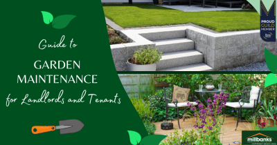 Garden Maintenance: Tenant and Landlord Responsibilities Explained