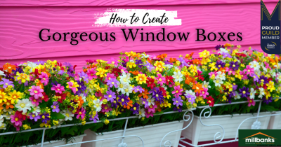 Brighten Up the Exterior of Your Home with Window Boxes