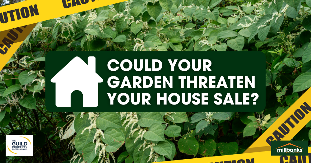 Could Your Attleborough Garden Threaten Your House Sale?