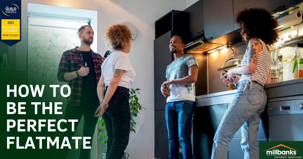 How to Be the Perfect Attleborough Flatmate
