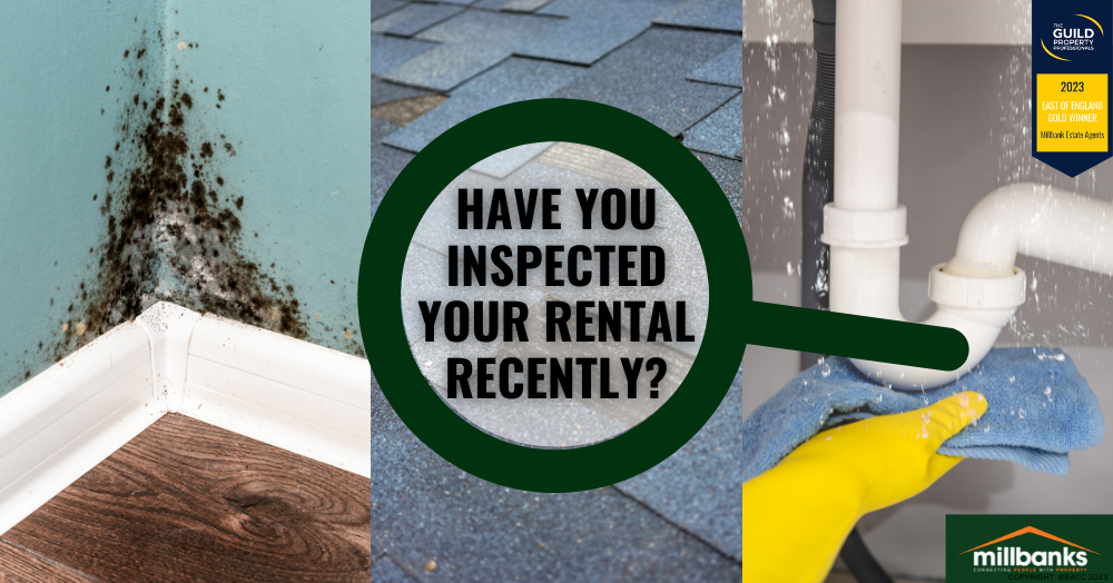 Why Property Inspections Could Save You Money
