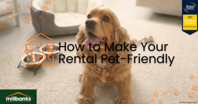 How to Make Your Rental a Pet Haven
