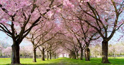 Why This Time of Year Should Put A Spring In Your Step For Selling Your Home